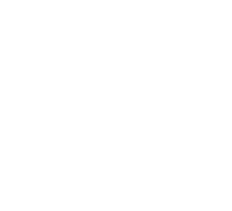UNESCO-MOST BRIDGES